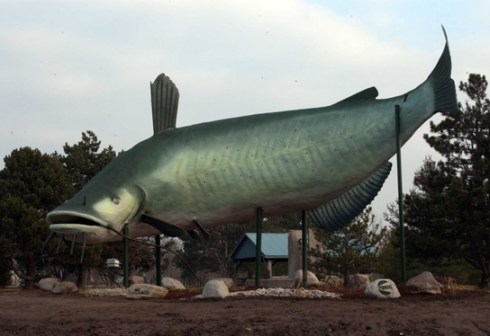 I levitate because I am at peace.