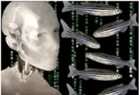 Do I have something on my neck?