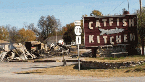 We must destroy in order to create. Or something like that. No Spring nor Summer Beauty hath such grace/As I have seen in one Autumnal Face.--John Donne